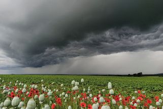 O víkendu se výrazně ochladí - Novinky