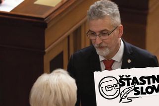 „Jsem proti, hlasuji pro.“ Sonda do duše poslance ANO - Seznam Zprávy