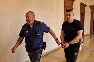 Ukrajinec s mikrobusem napálil na dálnici D2 do kamionu a zabil tři lidi. Dostal 4,5 roku - Novinky