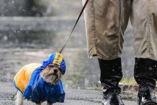 Do Česka vtrhnou bouřky a ochlazení, platí extrémní výstraha. RADAR ukazuje, jak bude u vás