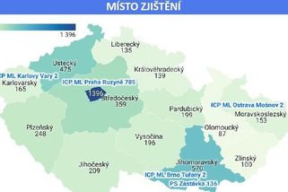 Policie už letos zadržela 169 lidí, kteří chtěli nelegálně přejít přes Českou republiku. Většinou jde o Rusy - Novinky