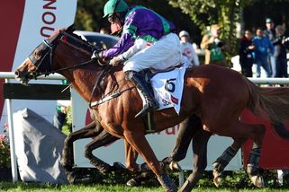Průšvih na Velké pardubické: Cílová kamera selhala, foto neexistuje - Sport.cz