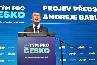 Babiš vyřešil grónskou krizi