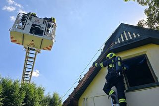 U zpěváka Landy na Vyšehradě hořelo kvůli vypalování vosího hnízda. Hasiči kroutí hlavou - Novinky