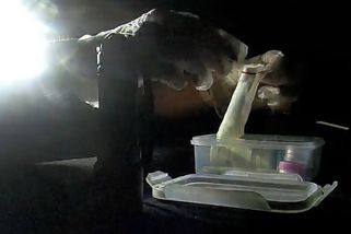 Muž nemohl ani chodit. Celníci v době konání festivalu zajistili v Ostravě 60 gramů drog - Novinky