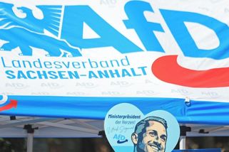 Průzkum: AfD by ve volbách v Sasku-Anhaltsku mohla získat až 42 procent - Novinky