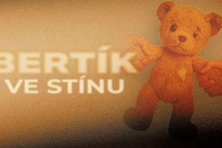 Policie tápe. Soudy rozhodly. Teď případ Bertík míří do Štrasburku - Seznam Zprávy