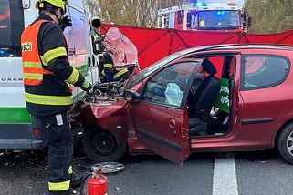 Zdrogovaná žena z Plzeňska schválně bourala a zabila osmiletou dceru. Za vraždu si dohodla 14 let - Novinky