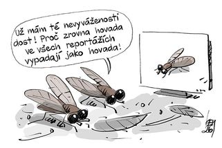KEMEL: Hovada vypadají jako hovada - Novinky