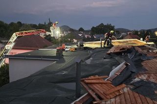 Poničené střechy a stovky vyvrácených stromů. U Nového Boru běsnil downburst - Novinky