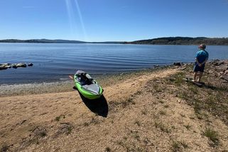 Rašeliniště za zelené Lipno nemohou. Kdyby nebyla vysušená, živiny by zadržovala - Médium.cz