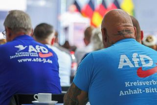 Od remigrace k neonacistům. Co stojí za novou debatou o zákazu AfD - Seznam Zprávy