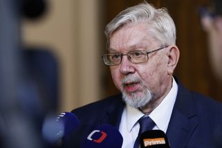 Ústavní soud jako bezpečnostní riziko? Kandidát AN...
