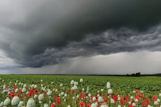 Česko odpoledne znovu zasáhnou silné bouřky, varují meteorologové - Novinky