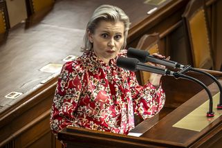 Byla bych radši, kdybys natáčela videa. Decroix si...