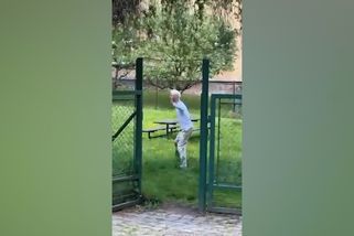 Na škole v Doubravě řeší policie zdrogovaného školníka i machinace s penězi - Novinky