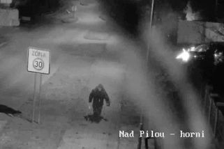 Zastupiteli Hluboké, kterému zapálili auto, vedení města hrozí žalobou - Novinky