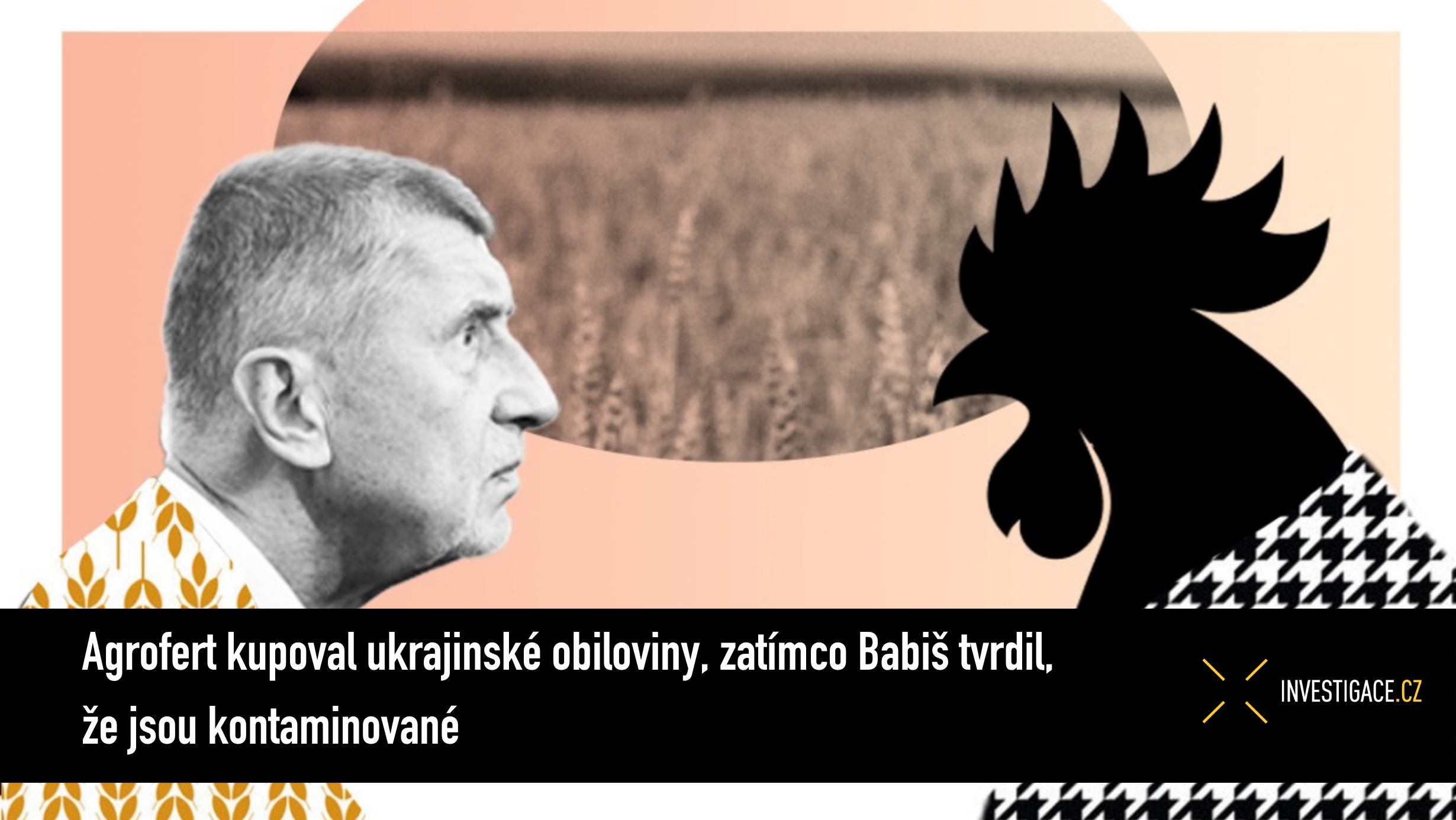 Obrázek u příspěvku číslo 1