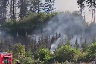 Na Strakonicku hoří les, hasiči vyhlásili třetí stupeň poplachu - Novinky