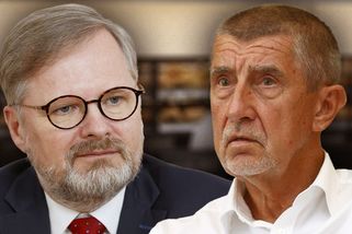 Čí kauza je větší? Vládní politici šijí do Babiše kvůli Čapímu hnízdu, opozice oplácí bitcoiny - Novinky