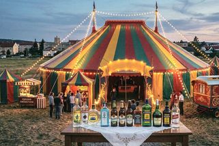 Výroky Borise Šťastného o alkoholu? To už není politika, ale cirkus - Médium.cz