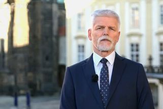 Vláda žádá zamítnutí Pavlovy žaloby a vyloučení soudce Šámala kvůli aktivismu