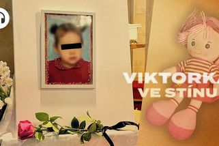 „Dítě nechte v rodině, neumře-li do pěti minut.“ Kauza Viktorky má nový směr - Seznam Zprávy