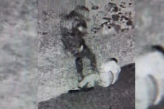 Policista na záběrech z Českých Budějovic kope do vzdávajícího se mladíka - Novinky
