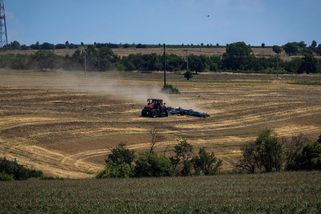 Málo peněz, málo lidí. Čechy na polích nahrazují Mongolové a Filipínci - Seznam Zprávy