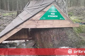 Vojenské lesy upravily v Brdech čtyři prameny na kryté studánky, na další se chystají v příštím roce