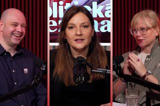 Neplníte předvolební sliby? Tak šup, dejte tam Sudeťáky, glosuje analytik - Novinky