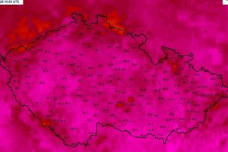 Vlna veder vrcholí, na Plzeňsku naměřili téměř 40 stupňů - Novinky