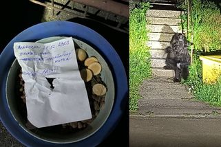 Majitel uvázal v Táboře velkého psa k zábradlí a nechal u něj lístek - Novinky