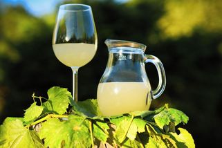 Fáze burčáku: Kdy má nejvíc alkoholu a které se říká mydliňák