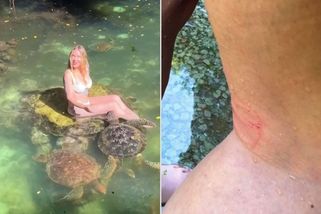Turistku na Zanzibaru kouslo „nejméně děsivé zvíře“ - Novinky