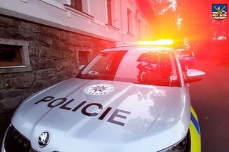 Běžec u Prahy nakopl psa. Jeho majitele pak bodl do krku a utíkal dál - Novinky