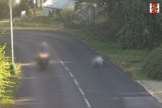 Senior v Žatci tvrdil, že ho srazilo auto. Kamera ho usvědčila, že upadl sám - Novinky