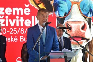 Obchody plné potravin tu nemusíme mít vždycky, upozornil Babiš - Novinky