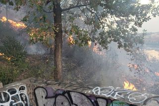 V pražských Letenských sadech hoří - Novinky