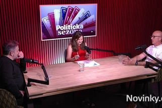 Telička: Babiš nepřipustí, aby na prezidenta za ANO kandidoval někdo jiný než on - Novinky