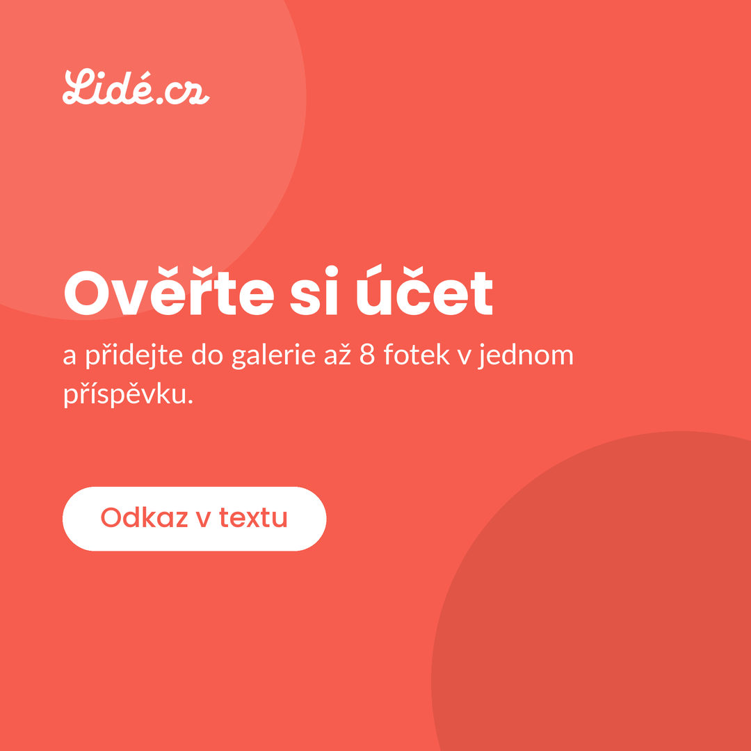 Obrázek u příspěvku číslo 8