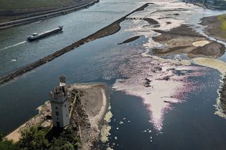 Nedostatek vody v řekách trápí dopravce. Německo chce obnovit nedělní jízdy kamionů - Novinky