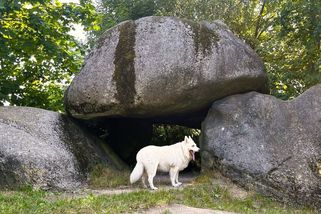 Dolmeny: prastaré kamenné brány do světa mrtvých. Dějiny, kontext a tipy na výlety k dolmenům - Médium.cz