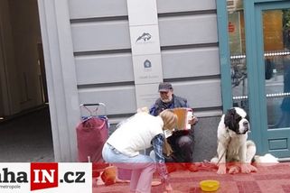 prahain.cz/zivot-ve-meste/rumunsti-zebraci-opet-operuji-na-vaclavaku-18410.html?utm_source=www.seznam.cz&utm_medium=seznam_distribuce&utm_campaign=lide