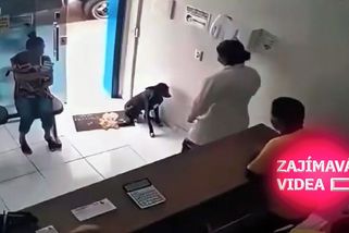 Dojemný moment. Toulavý pes sám přikulhal na veterinu a ukázal bolavou tlapku | Zajímavá videa