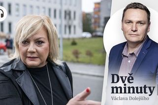 Glosa: Co se stane s ANO, když Babiš prohraje - Seznam Zprávy