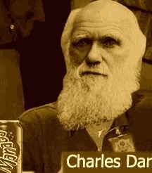 Charles Darwin Evolution GIF - Charles darwin Evolution Natural selection - Discover & Share GIFs