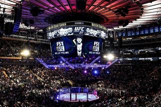Babiš dostal v oktagonu UFC na budku od prezidenta Pavla. AI video z TikToku boří internet