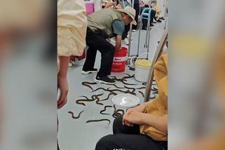 Číňan vylil ve vagonu metra kbelík s desítkami úhořů. Kameře to neušlo - Novinky