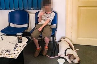 Plačícího malého cestovatele, který se ztratil v Plzni, spasili strážníci. A náhoda - Novinky
